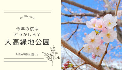生まれたては眩しい！名古屋市の大高緑地公園の桜を愛でた休日