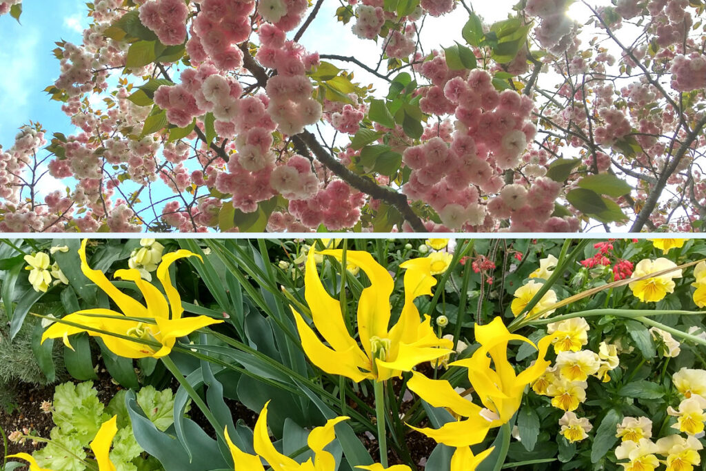 浜名湖ガーデンパークの花の美術館