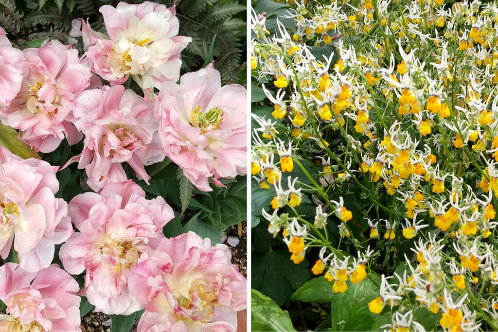 浜名湖ガーデンパークの花の美術館
