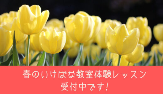 【静岡県西部】春の可愛いお花をいけてみませんか。いけばな教室体験レッスンやってます！