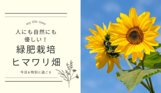 自然に優しい緑肥栽培｜JAとぴあ浜松「ひまわり写真コンテスト」