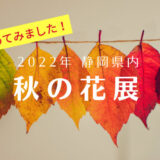 2022年秋｜静岡県で開催されるいけばな花展情報を集めてみました！