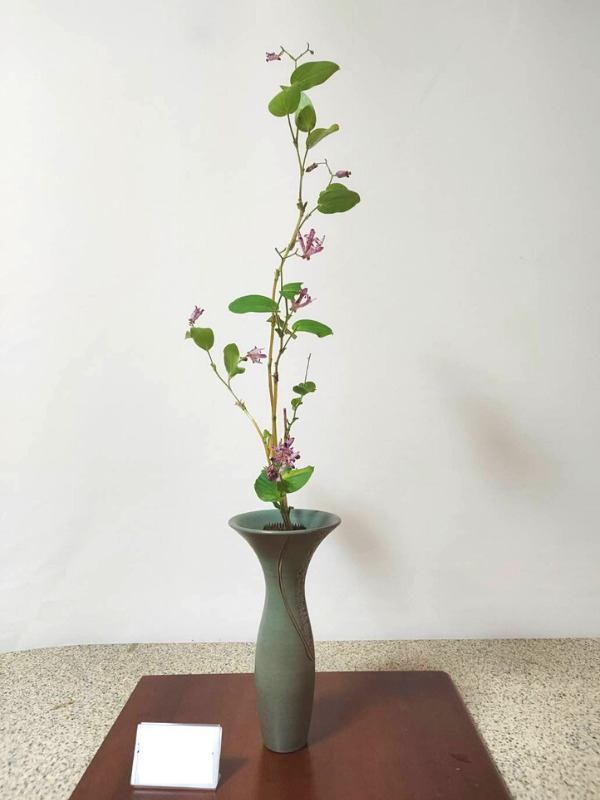 いけばな田名網｜正風体立花と庭の花をいけた生花、講師花展作品立花 | 花笑 HANAWARAI