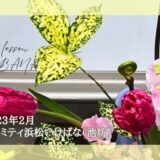 2023_アイミティ浜松いけばな(池坊)_2月分