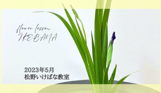 松野いけばな教室｜子供の成長を願う菖蒲の一種生