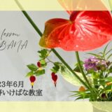 2023_松野いけばな教室_6月分