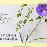 2023_藤田いけばな教室_5-6月分
