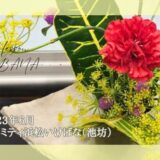 2023_アイミティ浜松いけばな(池坊)_6月分