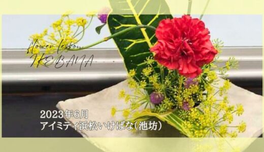 アイミティ浜松いけばな（池坊）｜2023年6月分自由花・生花新風体
