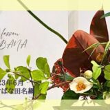 2023_いけばな田名網_6月分2