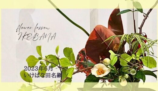 いけばな田名網｜2023年6月杜若の自由花・一種生・魚道生け、三種生