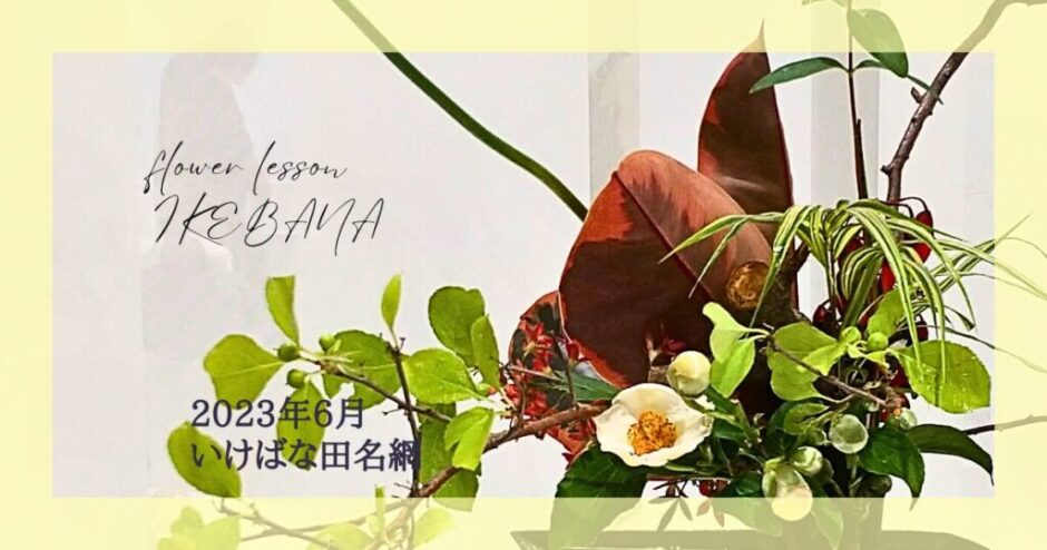 2023_いけばな田名網_6月分2