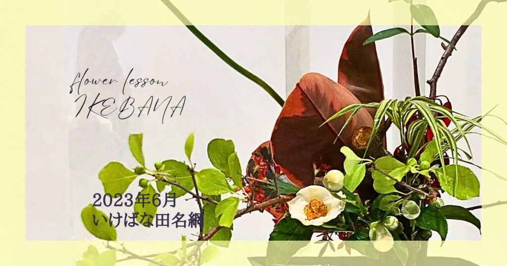 いけばな田名網｜2023年6月杜若の自由花・一種生・魚道生け、三種生