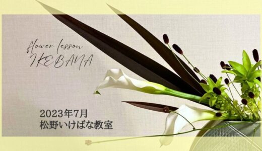 松野いけばな教室｜2023年7月分お稽古作品◎夏の自由花