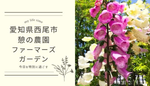 2024年5月★リニューアルした愛知県西尾市「憩の農園」に行ってきました！