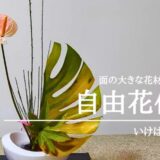 いけばな田名網｜アイデア満載、面の大きな花材をいけた自由花作品