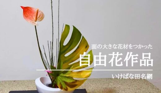 いけばな田名網｜アイデア満載、面の大きな花材をいけた自由花作品