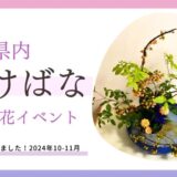 2024_秋の花展、花イベント