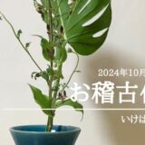 2024_いけばな田名網10月生花新風体