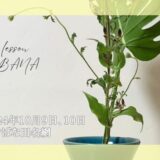 2024_いけばな田名網_1009.10