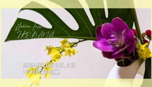 いけばな田名網｜2024年10月2日、3日のお稽古作品　自由花