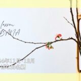 2024_松野いけばな教室_12月分