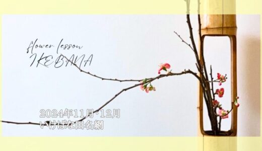 いけばな田名網｜2024年11月、12月お稽古作品　水仙一種生、二種生、自由花他