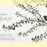 2024_いけばな田名網_11月分