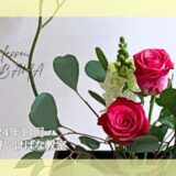 2024_松野いけばな教室_11月分