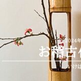 いけばな田名網｜2024年11月、12月お稽古作品　水仙一種生、二種生、自由花他