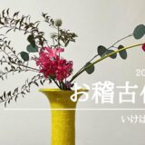 いけばな田名網｜2024年11月お稽古作品　生花新風体、立て花、砂物など