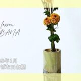 2025_いけばな田名網_1月分