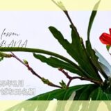 2025_いけばな田名網_2月分