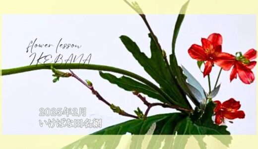 いけばな田名網｜2025年2月お稽古作品　自由花、二種生、生花新風体など