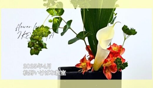 松野いけばな教室｜2025年4月　研究会作品