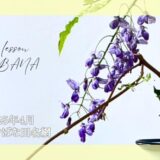 2025_いけばな田名網_4月分