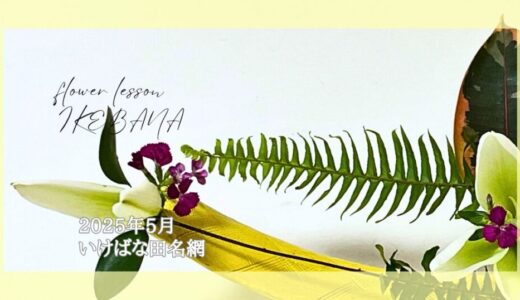 いけばな田名網｜2025年5月のお稽古作品　自由花・菖蒲一種生など