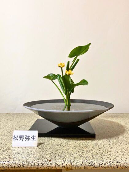 池坊　松野いけばな教室　松野先生　　作品　河骨一種生