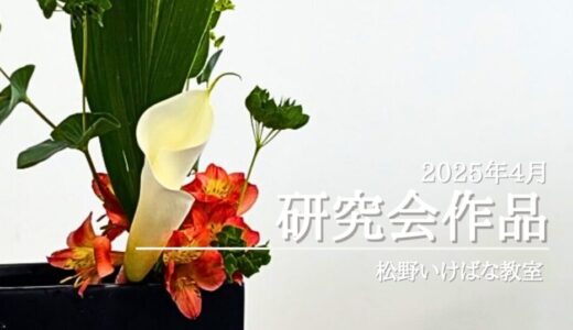 松野いけばな教室｜2025年4月　研究会作品