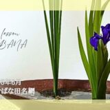 2025_いけばな田名網_6月分