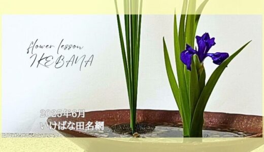 いけばな田名網｜2025年6月お稽古作品　杜若とフトイの交ぜいけなど