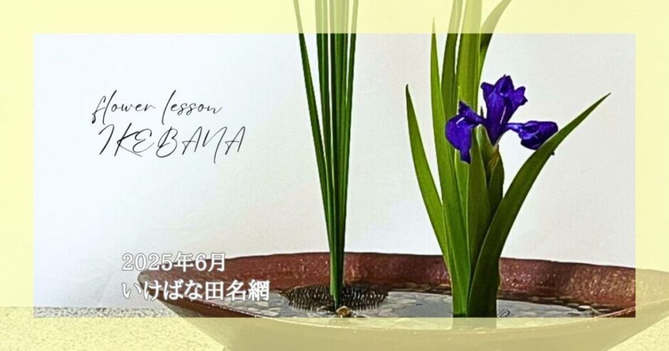2025_いけばな田名網_6月分
