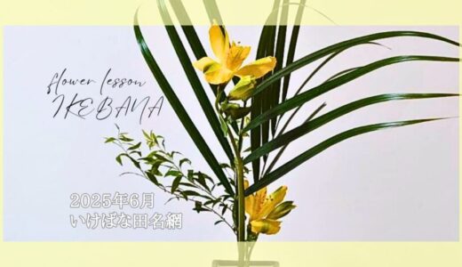 いけばな田名網｜2025年6月お稽古作品　三種生、自由花など