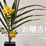 いけばな田名網｜2025年6月お稽古作品　三種生、自由花など