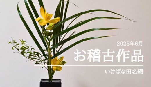 いけばな田名網｜2025年6月お稽古作品　三種生、自由花など