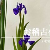 いけばな田名網｜2025年6月お稽古作品　杜若とフトイの交ぜいけなど