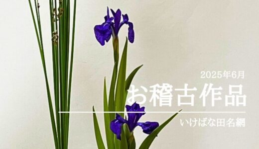 いけばな田名網｜2025年6月お稽古作品　杜若とフトイの交ぜいけなど