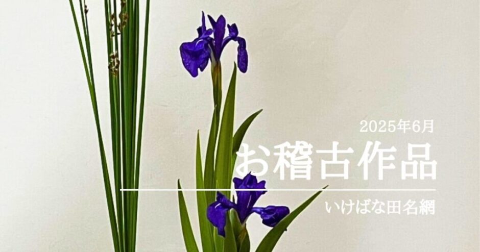 2025_いけばな田名網6月分