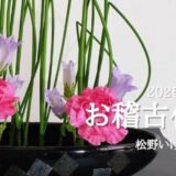 松野いけばな教室｜2025年5月6月のお稽古作品　交ぜ生け・自由花等