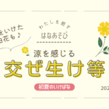 松野いけばな教室_202505-6